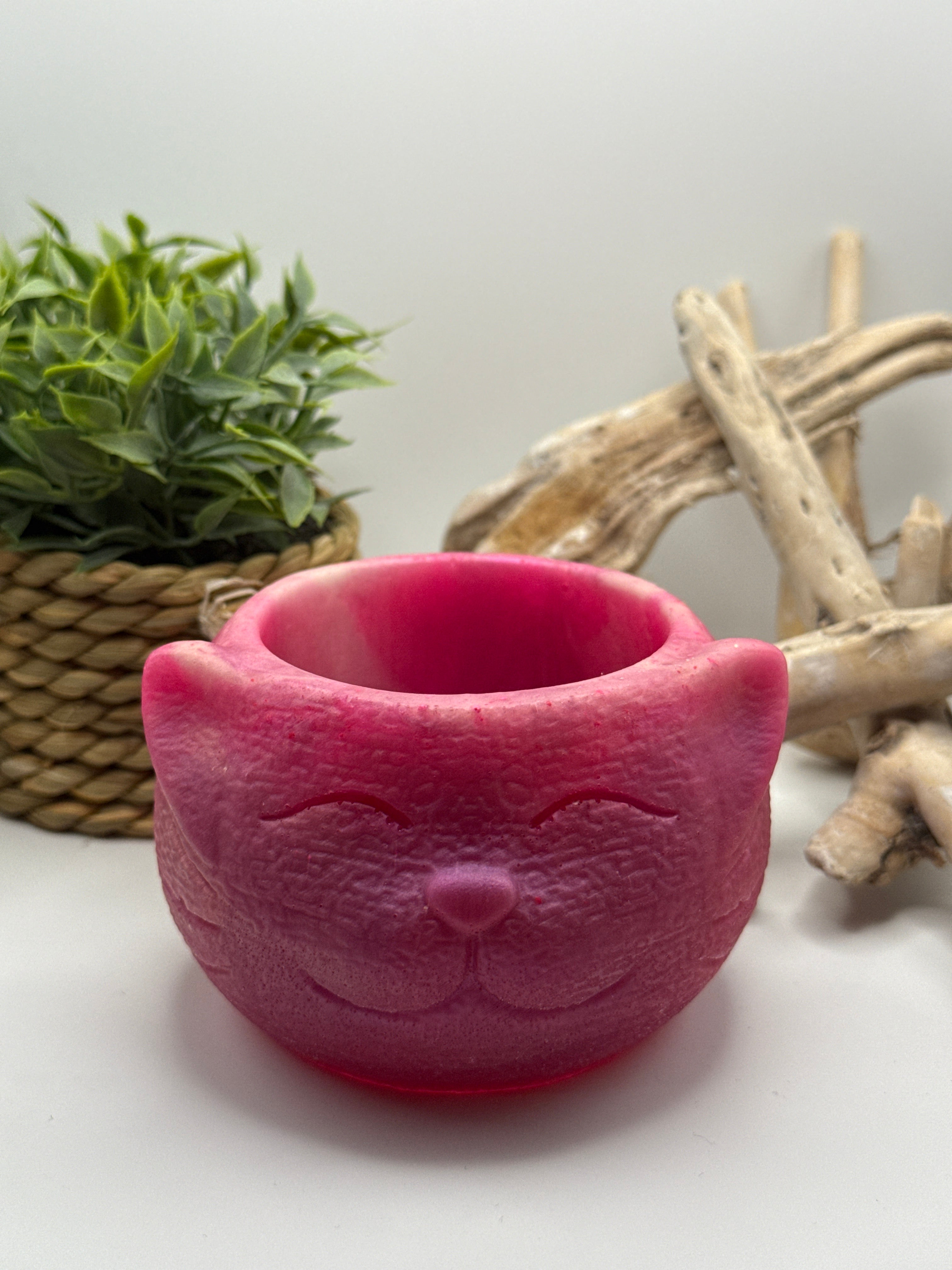 Pink Succulent Pot