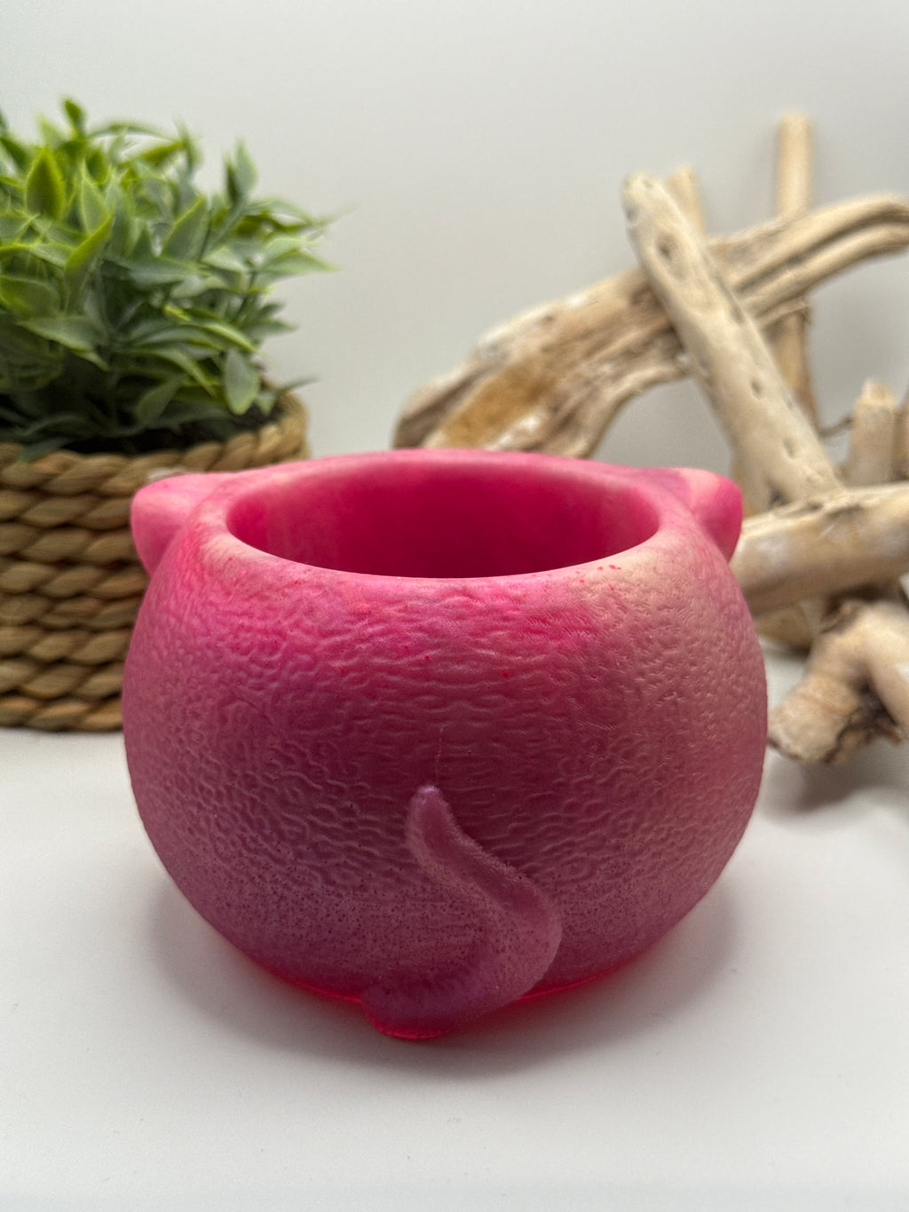 Pink Succulent Pot