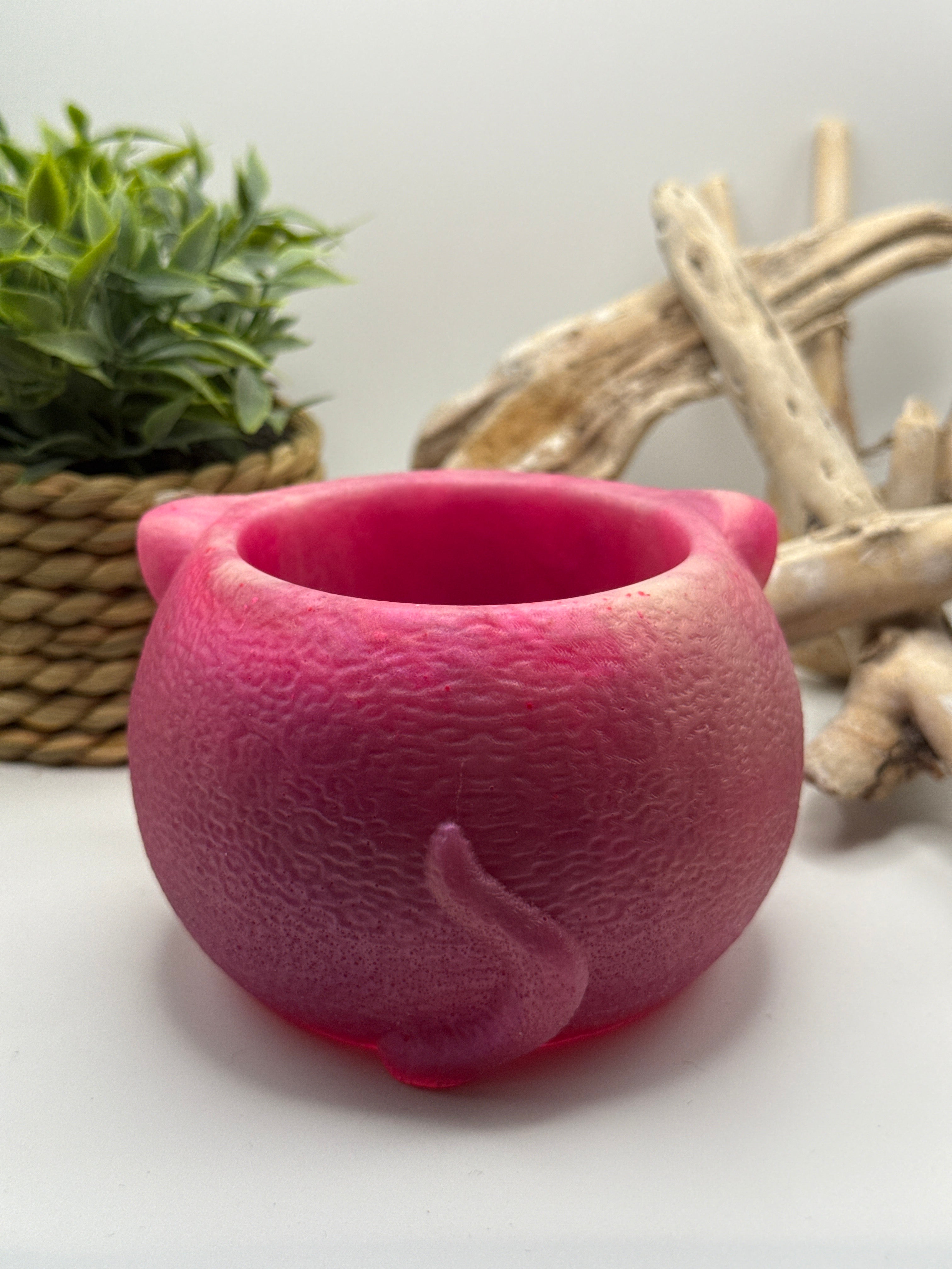 Pink Succulent Pot