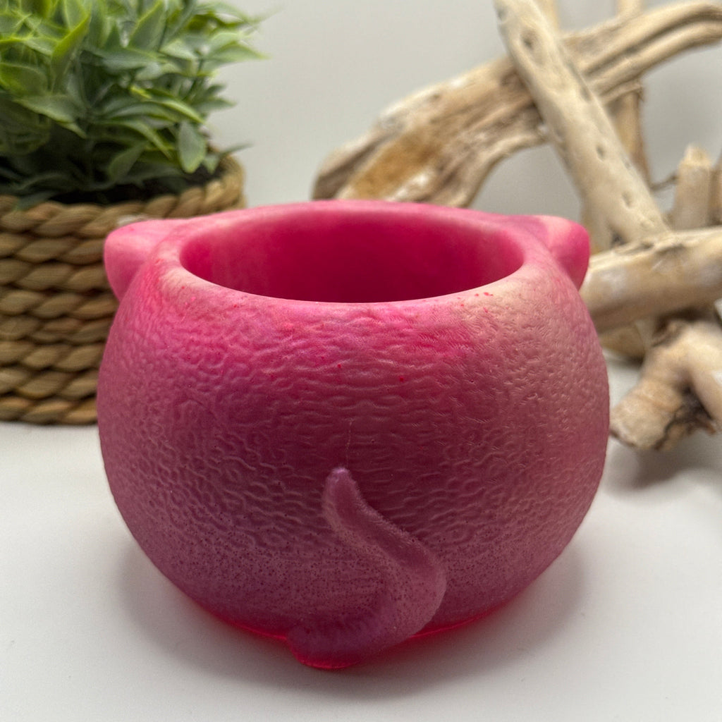 Pink Cat - Succulent Plant Pot