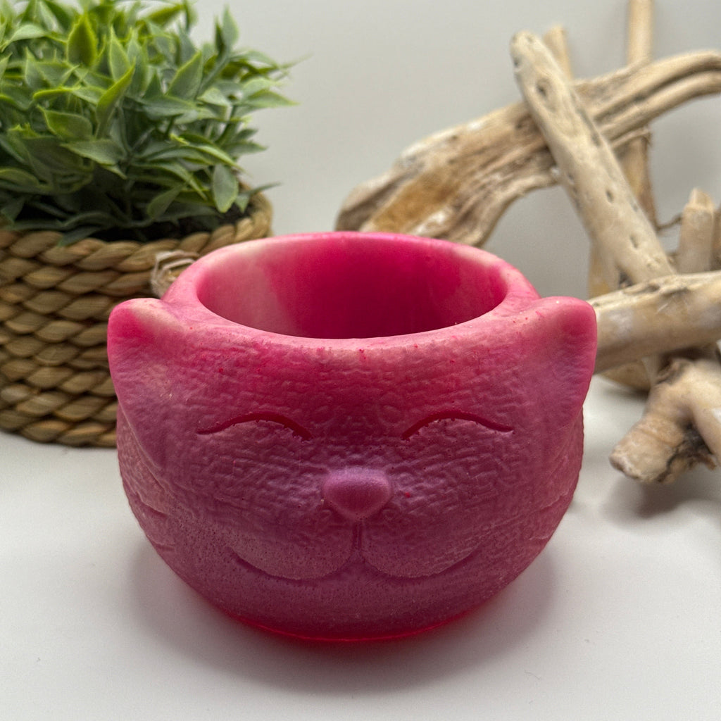 Pink Cat - Succulent Plant Pot